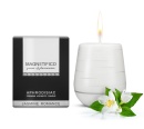  MAGNETIFICO Aphrodisiac Candle Jasmine Romance 